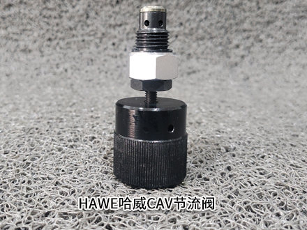 哈威CAV1D